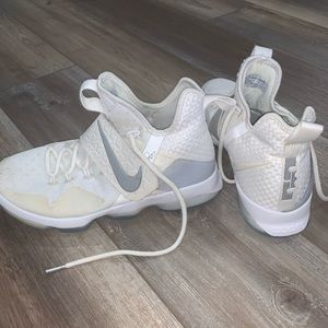 Nike Lebron Basketball Shoes